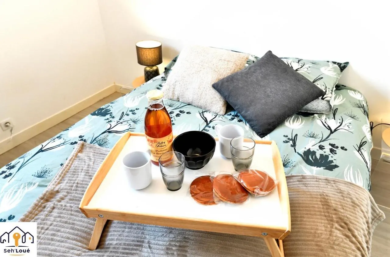 Halte Temporaire Sehloue Apartment Saint-Brieuc